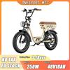 Bici elettrica 250W Motore 48V18AH Batterie Freno idraulico Doppia sospensione Bicicletta elettrica 20 pollici Fat Tire E Bike per tutti i terreni - Beige
