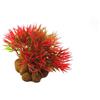 Classic Pianta acquatica rosso/verde muschio fiorito cm 2,5/6