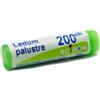 BOIRON LEDUM PALUSTRE MEDICINALE OMEOPATICO 200 CH GLOBULI
