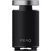PEAQ PARTY SPEAKER PEAQ PPS 170