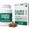 INNOVET ITALIA Srl Condrostress Mobility - 90 bocconcini masticabili (soft chews)