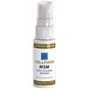 EPINUTRACELL Srl cellfood msm integrat 30ml