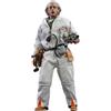 HOT TOYS Ritorno Al Futuro Movie Masterpiece Action Figura 1/6 Doc Brown 30 Cm Hot Toys