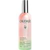 Caudalie Beauty Elixir Acqua di Bellezza 100ml