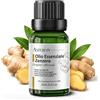 AMYRON Olio Essenziale Zenzero AMYRON 15ml | Zingiber Officinale | Naturale E Puro Al 100% | Ideale Per Aromaterapia E Uso Terapeutico | Diffusore Oli Essenziali | Massaggi Aromatici | Alimentare Senza OGM