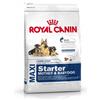 Royal canin maxi starter mother and babydog 15 kg