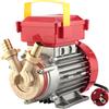 Rover Pompe Rover BE-M 20 IP 55 - Pompa elettrica da travaso in bronzo con protezione IP55 - Monofase - 230V