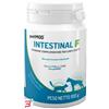 CHEMI-VIT Srl PETMOD INTESTINAL FIBRE 100 G