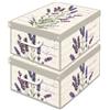 Lavatelli Set 2 Scatole Armadio Portaoggetti con Coperchio profumato Lavanda - Organizer Cambio Stagione in Cartone 32x42x17,5 cm - Made in Italy, Resistenti, Facili da Montare, con Maniglie