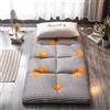 LBWARMB Materasso Futon Giapponese, Materasso Tatami Morbido E Spesso, Materasso Pieghevole Arrotolabile, Materasso da Campeggio Materassi da Pavimento, Letto Matrimoniale(BB,100 x 200 cm)