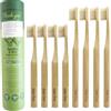 Gaia Guy Set Dentale Ecologico: 4 Spazzolini in Bambù con Setole di Cinghiale, Custodia da Viaggio e Filo Interdentale in Seta. 100% Compostabili e Biodegradabili.
