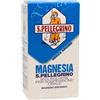 VEMEDIA MANUFACTURING B.V. Magnesia s.pell*polv 100g 90% - MAGNESIA S.PELLEGRINO - 006570028