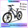 Bici elettrica HITWAY, potente mountain bike elettrica 36V 12Ah 250W con velocità, bici di supporto da 26 pollici - BLACK
