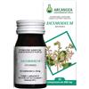 Desmodium 60 Capsule 500 Mg pz