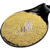 Greekherbay Semi di finocchietto in polvere macinata 20 g - 4,9 kg - Foeniculum Vulgare