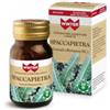GDP SRL-GENERAL DIETET.PHARMA Winter Spaccapietra 30 Compresse