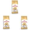 Royal Canin Norwegian Forest Cat Adult | Confezione Tripla | 3 x 400 g | Alimento completo per gatti adulti della razza Norwegian Forest | A partire da 12 mesi | Pelle sana e pelo splendido