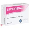 UP PHARMA SRL LIPODRENAL 60 COMPRESSE