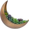 AERLO Fioriera da parete in metallo a forma di luna, vaso da appendere per piante grasse, piante aeree, cactus, decorazione da parete per interni ed esterni, per camera da letto, bagno, soggiorno,