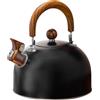 Generico Kettle | Touch Handle Whistling Kettle | Teiera in acciaio inossidabile nero | Design europeo 3L BOOLING POTTO | Caldatura in acqua premium per cucina, bar di casa, stufa