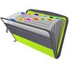 Fun storage Cartella portadocumenti a fisarmonica con cerniera, 13 tasche espandibili, 5 colori, organizer a fisarmonica con cerniera, con linguette, formato A4, cartelline portadocumenti espandibile, verde
