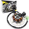 Area1 Statore/Generatore di Ricambio per Scooter 50cc 2T - Compatibile con ATU Explorer, AGM, Nova Motors, GT Union, Longjia, Mawi, RS, Ultima, Sprint, Tauris, Benero, TNG, Jack-Fox, Forstinger