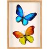 SHACHENH Cornice portafoto 3D da riempire, 3D A4, profonda da riempire, 3,5 cm, con pannello acrilico trasparente, per medaglie, regali, fiori secchi, vetrina, 21 x 29,7 cm, colore legno