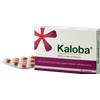 DR.WILLMAR SCHWABE GMBH&CO.KG Kaloba compresse - 21 compresse rivestite 20 mg