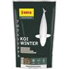 Sera Pond Koi Professional Inverno 2200gr