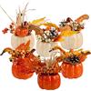winemana Set di 6 decorazioni artificiali per il Ringraziamento, zucca, bacca, ghianda, pigna, verdure, per il raccolto autunnale, da tavolo, casa, cucina, feste