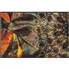 Wash+Dry Jungle Dance - Zerbino 50 x 75 cm, interno ed esterno, lavabile, colorato