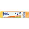 Boiron Ledum Palustre 15 CH medicinale omeopatico ad azione antidolorifica e repellente, 80 granuli