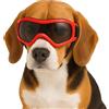 Fohuanky Occhiali da sole per cani per razze piccole e medie, regolabili, con protezione UV, per viaggi, escursioni, divertimento all'aperto (rosso, M)