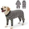 TQFlow Tutina Post Operatoria Cane Recupero Costume, Animale Chirurgico Body Post-Operatori per Donna Maschio Cani, Alternative al Collare Pigiama Cane Operative Tuta Bodysuits Camicie (Grigio, XXL)