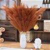penepico Set di 8 erbe finte di Pampa arancio bruciate da 110 cm, grandi fiori di Pampa artificiali soffici lunghi, fiori finti in piume, per l'arrangiamento del matrimonio bohémien, soggiorno