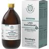 Gianluca Mech | Lino Rabarbaro, Integratore per Irregolarità Intestinale, 500ml, Senza Glutine e Vegan