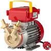Rover Pompe Rover BE-M 14 OIL - Pompa elettrica da travaso per olio in bronzo - Monofase - 230V