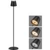 Coinmit LED Lampada da terra a batteria senza fili, 3000 K-6000 K, lampada da terra dimmerabile per interni ed esterni, soggiorni, balconi, ecc. Nero