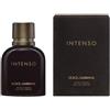 Dolce & Gabbana Pour Homme Intenso Eau De Parfum 75ML