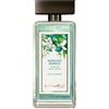 Gandini Muschio Bianco Timeless White Musk Eau De Toilette 100 ml Vapo