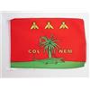 AZ FLAG Bandiera Città di Nîmes Colnem 45x30 cm Poliestere 100D Cordini | Uso interno ed esterno bandiera decorativa francese doppie cuciture e bordi rinforzati