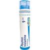 BOIRON Poumon histamine 9ch gr - BOIRON - 800024376