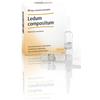 GUNA Ledum comp 10f 2,2ml heel - GUNA - 800164446