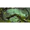 MIRRORANG 61x30cm Nebbioso Foresta Terrario Sfondo Pietra Verde Albero Tropicale Rettile Habitat Sfondo Foresta pluviale Acquario Sfondo Vinile Sfondo