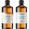 Oxxigena - BIO Kit Base Neutra da 2 L, con Glicerina Vegetale Liquida Pura ≥ 99,5% (1 L) + BIO Glicole Propilenico Vegetale Liquido Puro (1 L), 50 VG / 50 PG, 100% Made in Italy, Purezza Farmaceutica