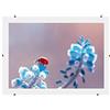 Online-GalleryKing Cornice a clip senza cornice 23x33 cm con vetro acrilico antiriflesso | Cornice portafoto | Foto | Poster | collage | cornice | Tutte le taglie