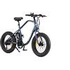 Nilox, E-Bike J3 Plus, con Pedalata Assistita, Autonomia 70 km, Fino a 25 km/h, Brushless High Speed 250 W, Batteria al Litio 36 V 12.8 Ah, Ruote 20" Fat, Cambio 7 Marce, Freni a Disco