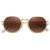 SOJOS Occhiali da Sole Polarizzati Uomo Donna Grandi Poligonali Rotondi Vintage Stile Protezione UV Occhiali da Sole SJ1157 Lente marrone