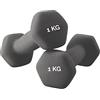 FFitness Pesi Palestra in Casa Fitness Manubri Esagonali in Neoprene, Antiscivolo | Coppia Dipped dumbbell (2 x 1 KG), ASSORTITO