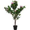 DKD Home Decor Impianto Ornamentale, Standard